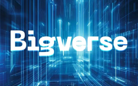 bigverse:革新数字藏品市场、引领艺术科技新潮流