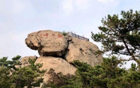 山东部分城市，发布春节期间，景区免费及优惠政策